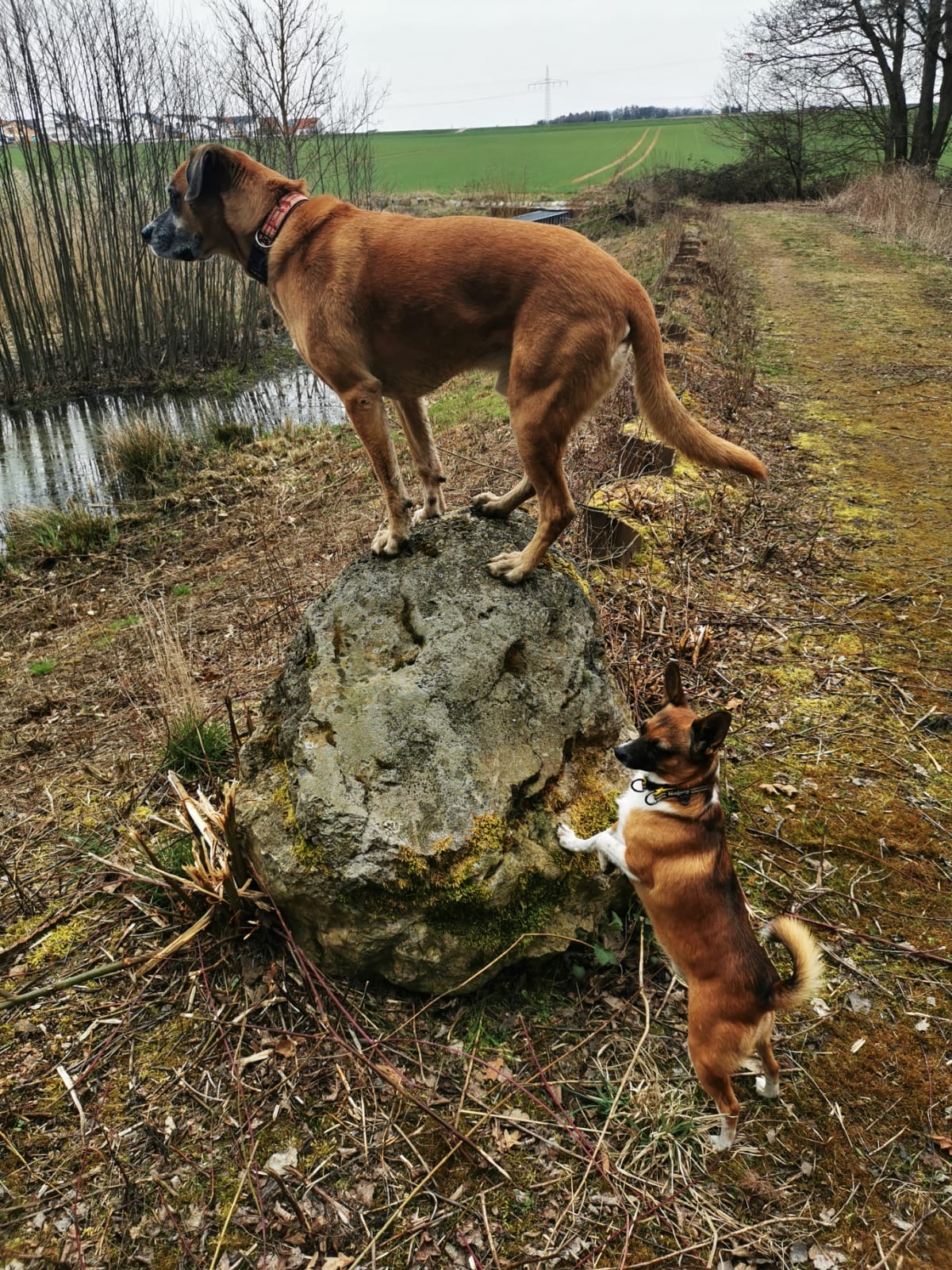 5ef5cacf ccca 4d5f a6b5 c449f19cd3f3