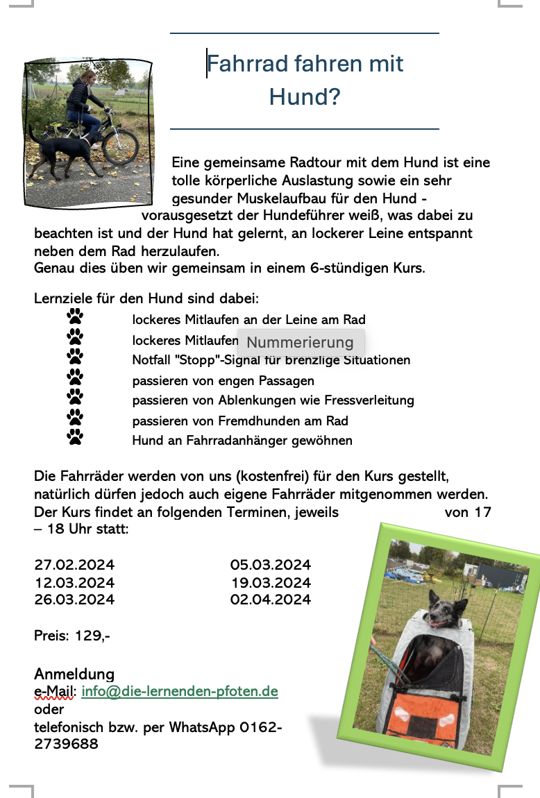 Bildschirmfoto 2024 01 31 um 15.22.37