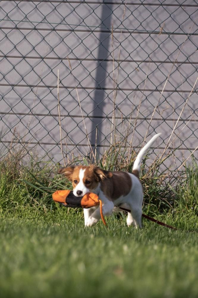 Karin Mittermeier Karin Mittermeier
