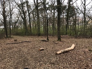 Route 3 Brandlberg 3