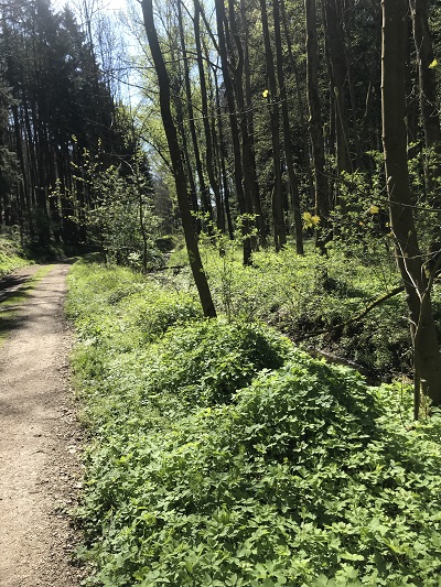 86FBB657 8819 4C24 88EF 0CD54D0EA119 2720 00000208B185189A